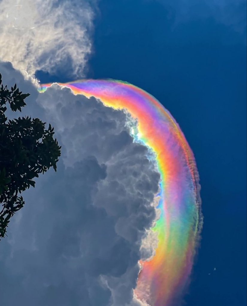 A pileus cloud showing rainbow iridescence above a bank of cumulus. CYPHR scored it authentic.